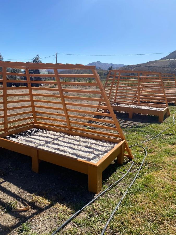 Cabanas Vicuna Cielo De Peralillo - Valle De Elqui Dış mekan fotoğraf